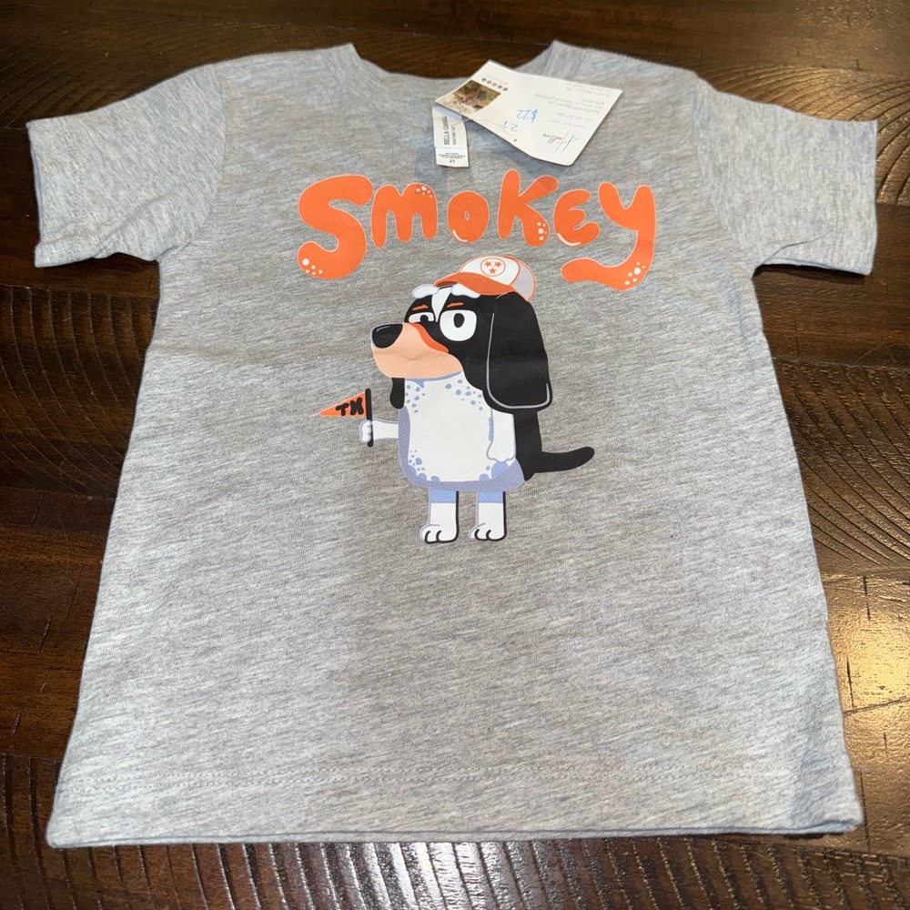 🆕 Smokey Kids Gray T-Shirt - 2T